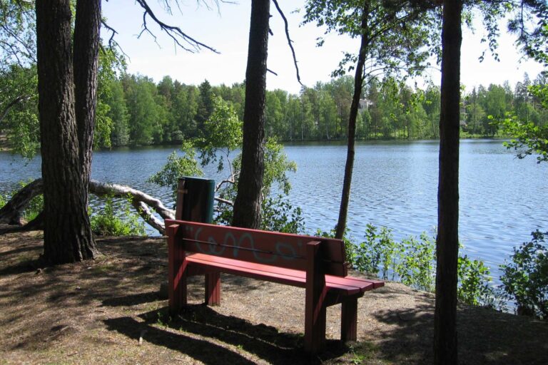 Gallsträsk järven kunnostus Kauniaisissa